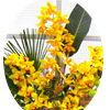 orchideen-brunojenny.ch